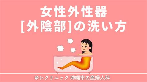 女 陰毛|女性の外性器